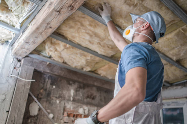 Best Spray Foam Insulation in Alton, IA